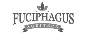 Fuchipagus logo by Insomatic